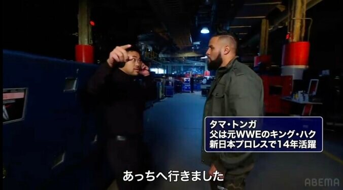 いくぶんか冷静なタマ・トンガ