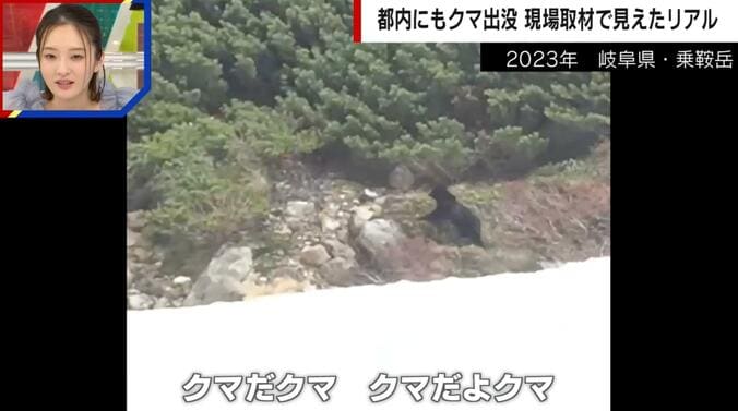 スキーナビゲーター独自のクマ写真