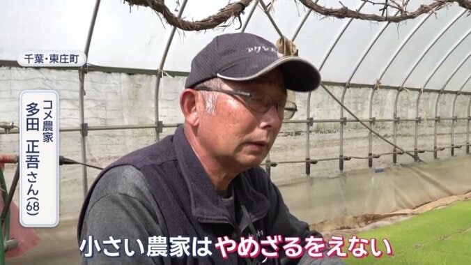 「小さい農家はやめざるをえない」