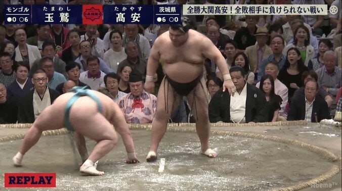 初優勝を虎視眈々　好調・高安が7連勝　若藤親方「切れ味鋭い」 1枚目