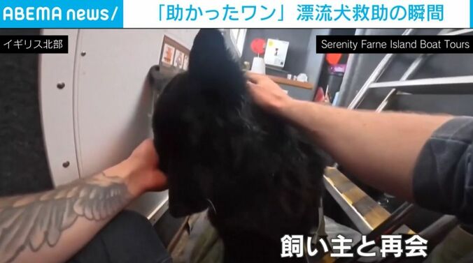 ブルース