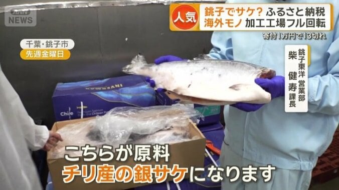 銚子市で海外産のサケを加工