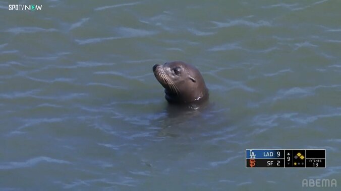 【写真・画像】　2枚目