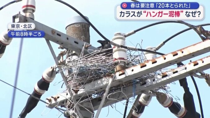 ハンガーで作られたカラスの巣