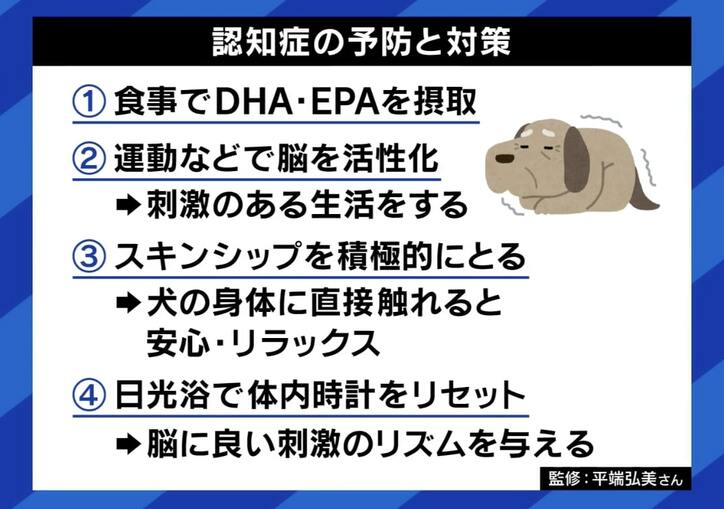 ペットの“認知症”予防と対策は?「安楽死」を選択する人も…介護&看取った当事者に聞く「恩返しする最後のチャンス」