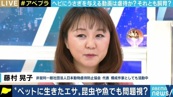 “生きたエサ食べさせる動画” 一体どこまで制限すべき? YouTuberを刑事告発した動物愛護団体代表と議論