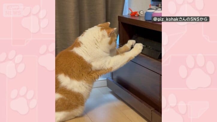 速わざキャッチ！