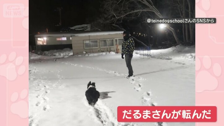 まるで“だるまさんが転んだ”！