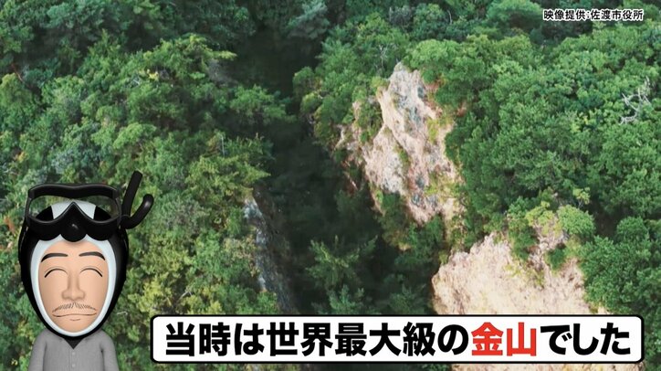 【写真・画像】【ナスD】コピーして使ってください　2枚目