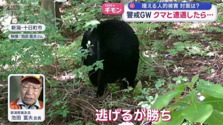 逃げることが一番いい