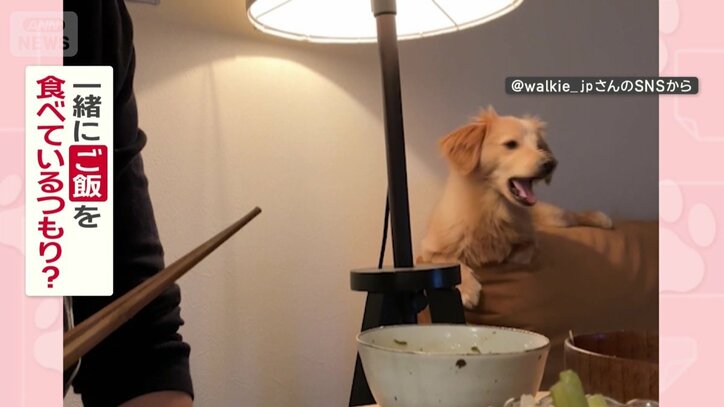 一緒にご飯を食べているつもり？