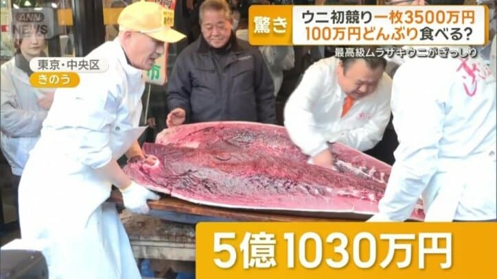 史上最高値5億1030万円で競り落とされた一番マグロ