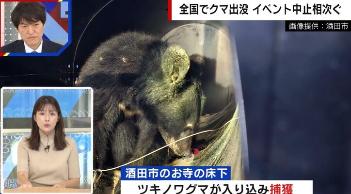 【写真・画像】クマ被害止まらず…お寺の床下や民家に出没 山形県の目撃件数が1500件以上にのぼる　1枚目