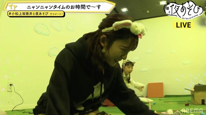 ネコミミ姿の小松未可子＆徳井青空とにゃんにゃんSP開幕！小松の猫ライフに徳井大興奮「ズブズブに依存しあいたい！」