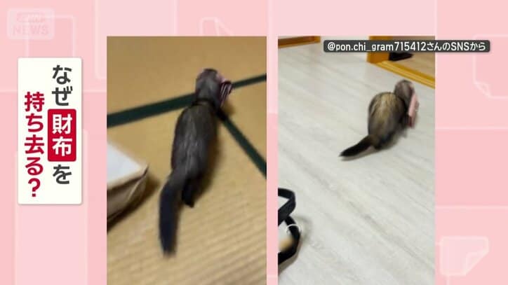 なぜ財布を持ち去る？