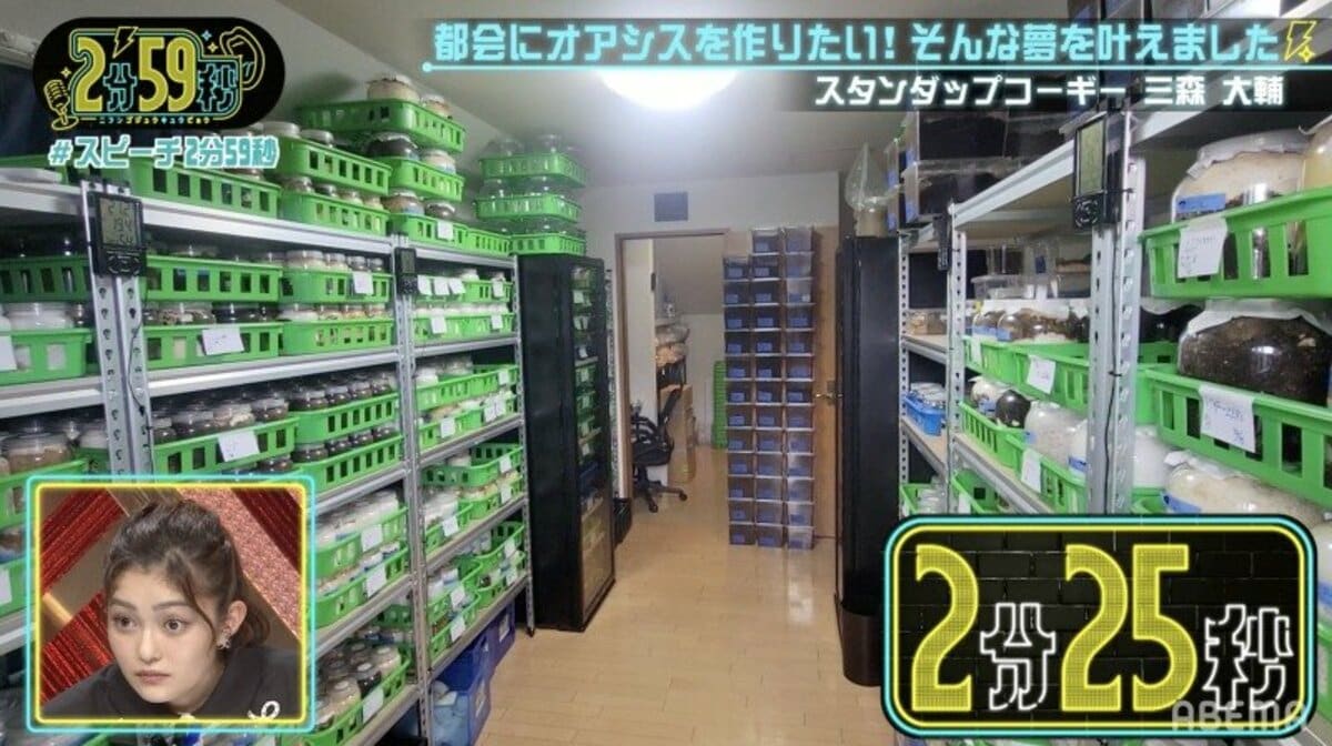 ☆クワカブの部屋☆YouTuber☆三森大輔さんクワカブの部屋』公式 世界