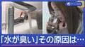 「水道水が臭い」 ダム渇水との原因は？