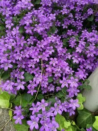 真矢ミキ『2017/05/12』