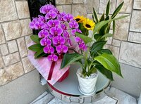 薬丸裕英『誰もがハマるつけ麺』