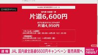 JAL国内線全路線6600円キャンペーン 今月末再開