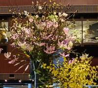 山田美保子『憧れであり、目標でもあった女性の訃報』