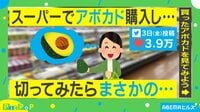 「ほぼ種やんけ…」半分に切ったアボカド