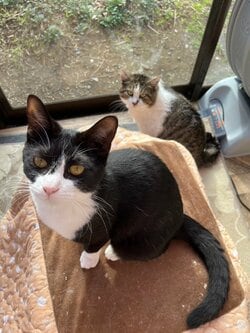 松居直美、物件内覧で“息苦しさ”を感じたことを明かす「私、よくがんばってたな」