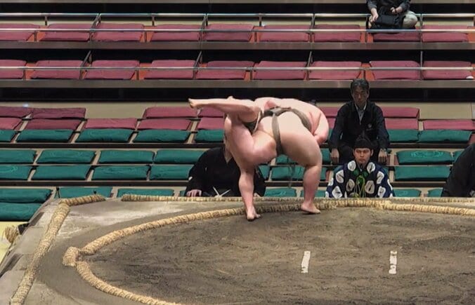 【写真・画像】 1枚目