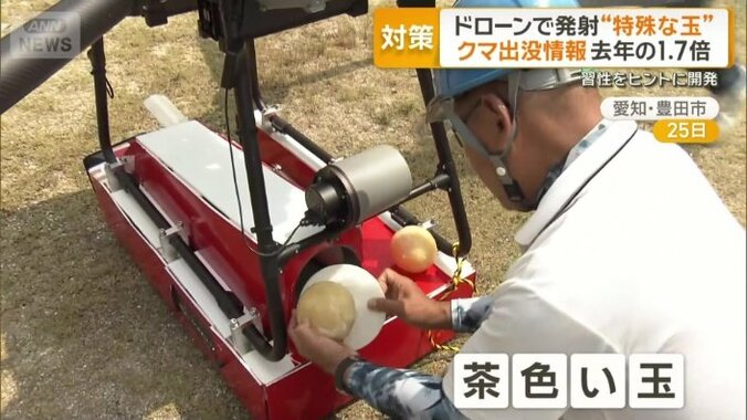 茶色い玉