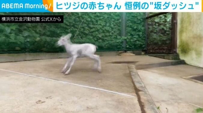 アメちゃん