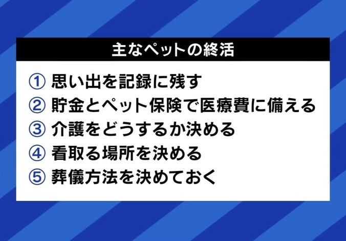 ペットの“認知症”予防と対策は？「安楽死」を選択する人も…介護&看取った当事者に聞く「恩返しする最後のチャンス」 8枚目