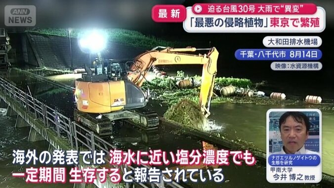 川を通じて海に至る恐れ