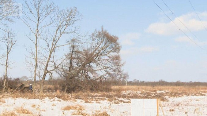 釧路メガソーラー問題　予定地で樹木伐採　合意なく住民反発　会社は年内着工方針 1枚目