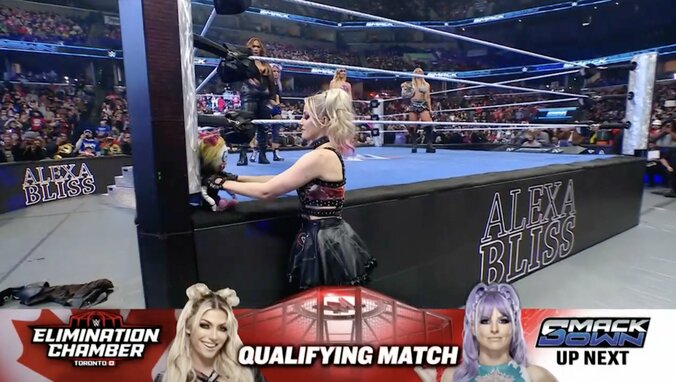 “ゴスロリ×ツインテ”ビジュが目を引くアレクサ