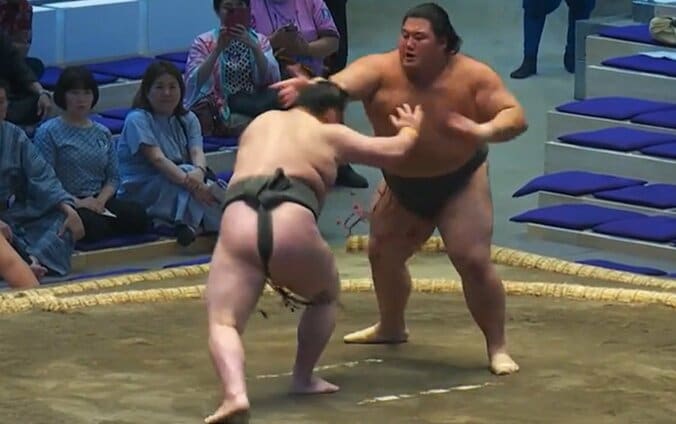 【写真・画像】 1枚目