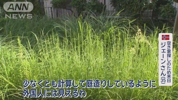 雑草が生えっぱなしの庭も…