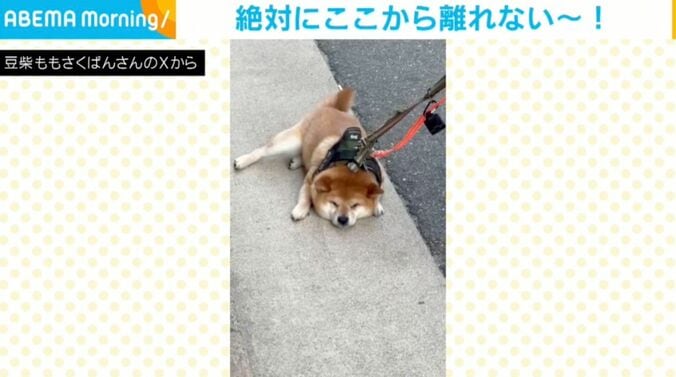 鬼山桃ノ助くん