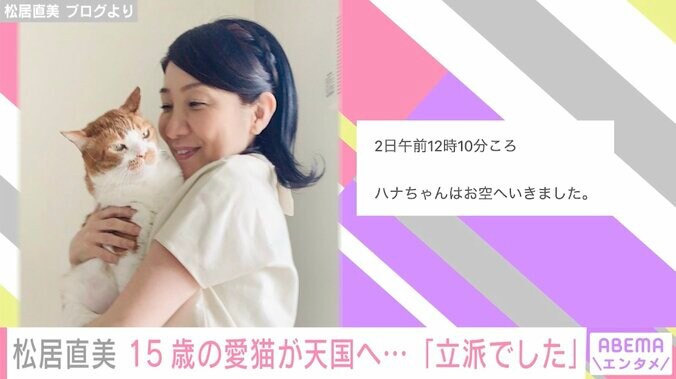 松居直美、保護猫の“ハナちゃん”が天国に旅立った事を報告「立派でした」 1枚目