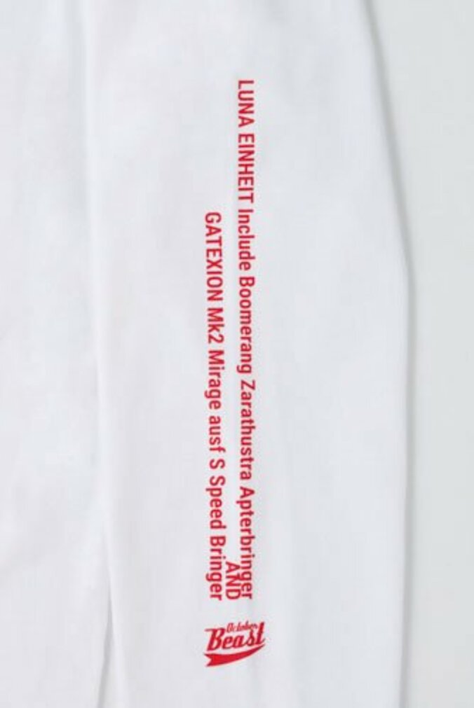 【写真・画像】『ファイブスター物語』コミックス18巻SPパックが3月10日発売予定！「Newtype Anime Market 」で予約受付中　9枚目