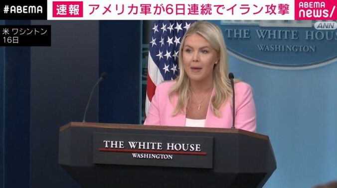 レビット報道官