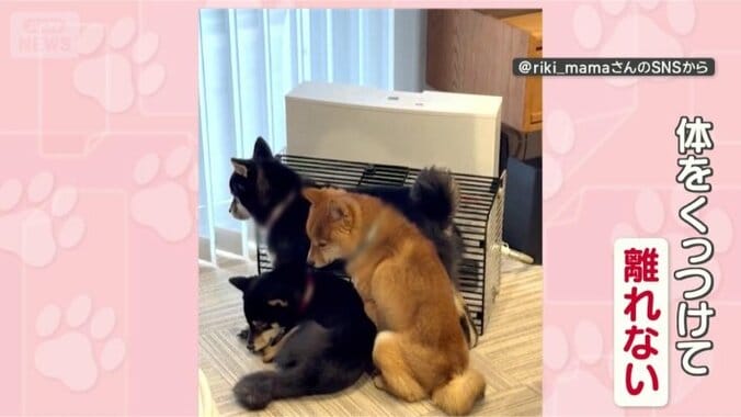 ヒーター前でギューギュー