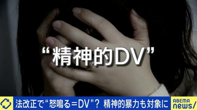 【写真・画像】怒鳴る＝DVになる？改正DV防止法で「精神的暴力」も対象に…実効性は？「一方が奴隷化したら」「恐怖の有無」　1枚目