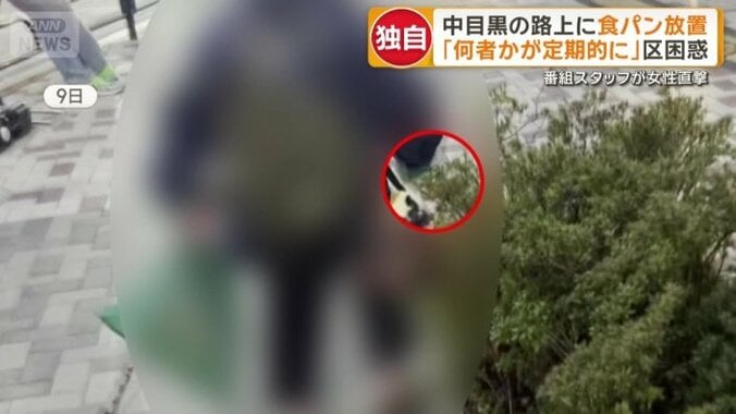 杖で植え込みに隠す