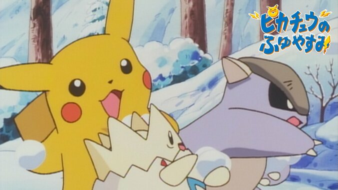 ピカチュウのふゆやすみ