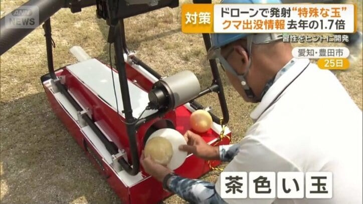 茶色い玉