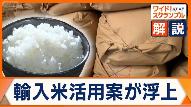 それでも続くコメ高騰　備蓄米のほとんどはJA全農に　切り札は輸入米？
