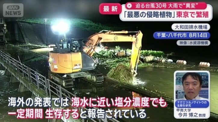 川を通じて海に至る恐れ