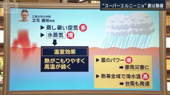 三重大学大学院 立花義裕教授