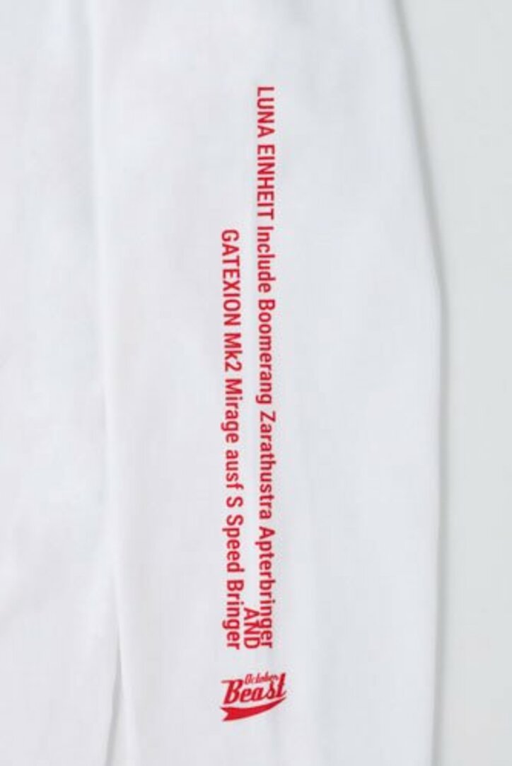 【写真・画像】『ファイブスター物語』コミックス18巻SPパックが3月10日発売予定!「Newtype Anime Market 」で予約受付中 9枚目