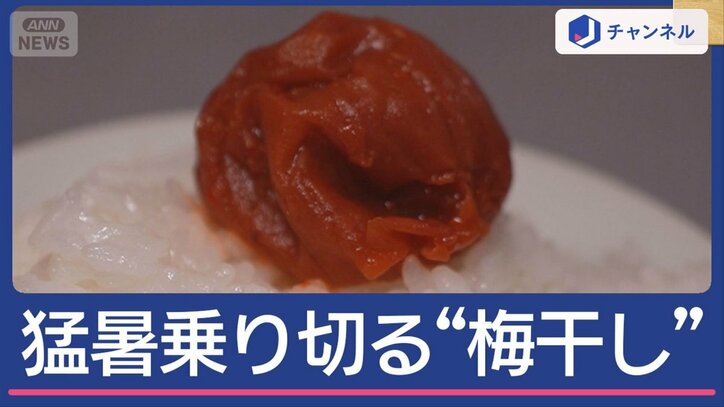 猛暑乗り切る！名脇役「梅干しグルメ」知られざる魅力
